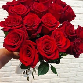 17 красных роз