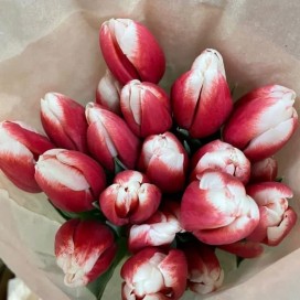Букет красных тюльпанов 31шт