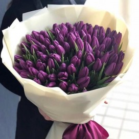 21 фиолетовый тюльпан