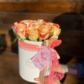 Бокс "Амстердам"