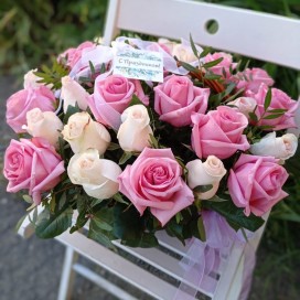 Элегантность №347