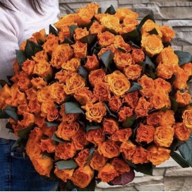 Южное солнце