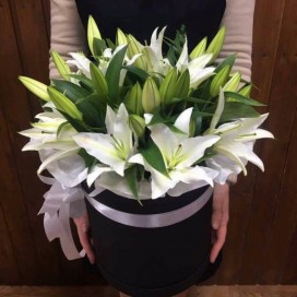 Бокс с Лилией