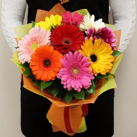 Солнечные герберы