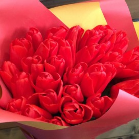Букет из 25 красных тюльпанов