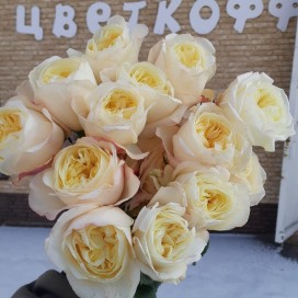 Роза пионовидная 25 шт