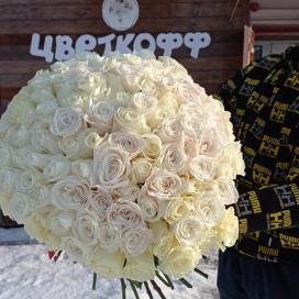 Букет из 101 белой сортовой розы