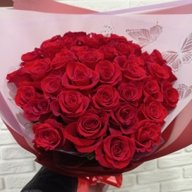 Сердце Эквадора