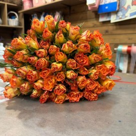 Роза Кения 51шт