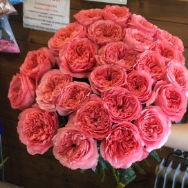 25 Пионовидных роз 60см.