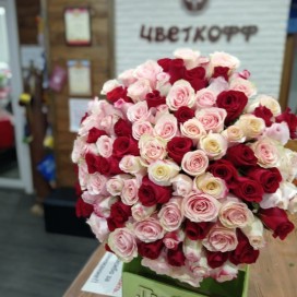 101 история любви