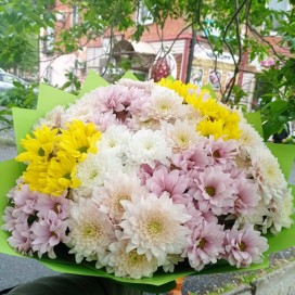 25 хризантем в упаковке