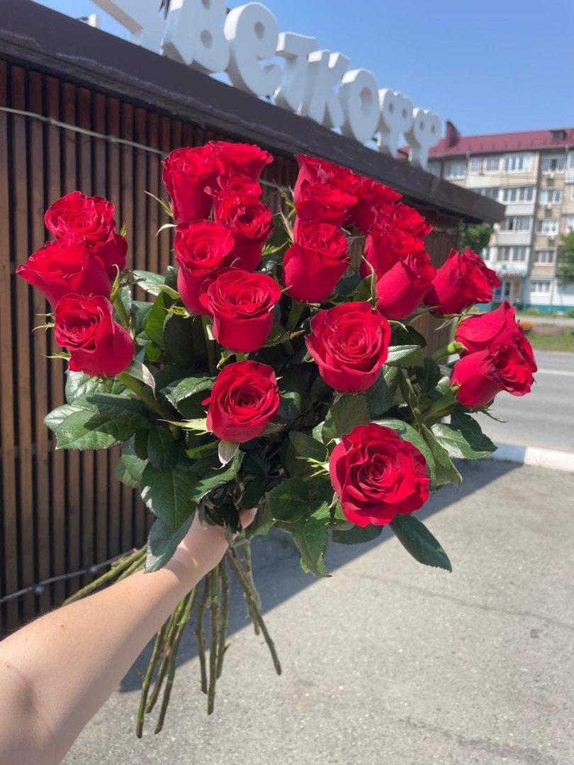 Роза Эквадор Красная